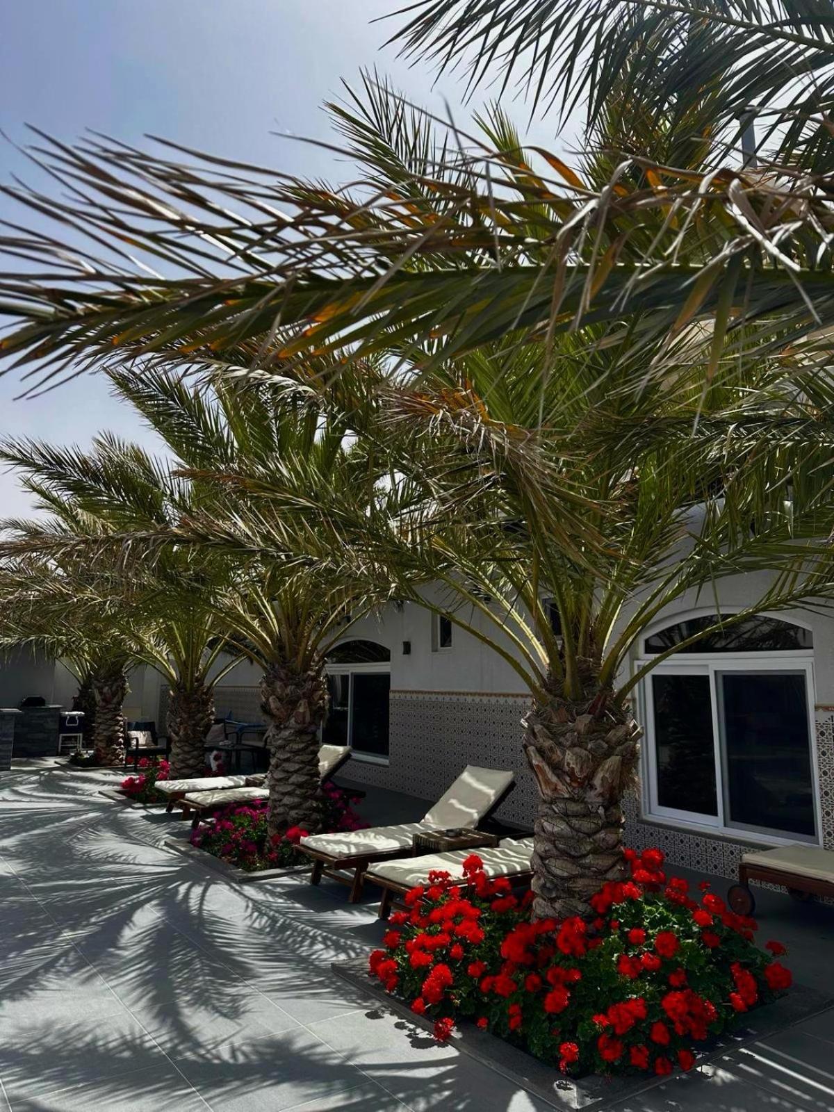 Golden Rays Chalet Madaba Exterior photo